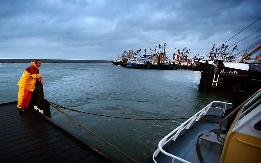 beeld ANP, Catrinus van der Veen