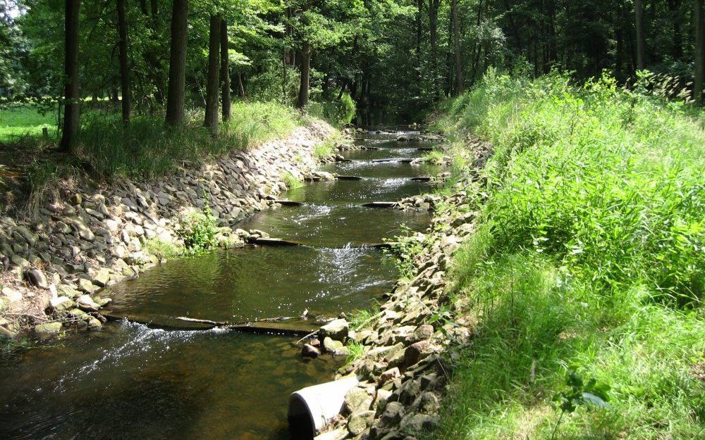 DIEPENHEIM – Een zogeheten vistrap vlakbij het Overijsselse Diepenheim. In het waterschap Regge en Dinkel geldt sinds vorige week een verbod op het onttrekken van water aan sloten en beken. De grondwaterstand heeft een kritiek punt bereikt en met het oog 