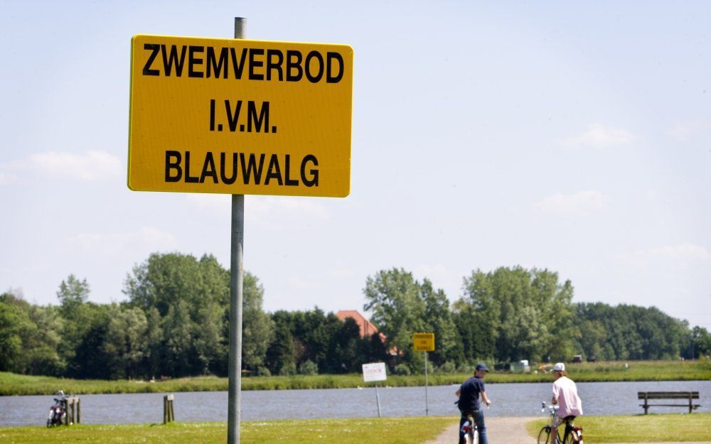 Veerplas in Haarlem. Foto ANP