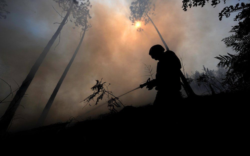 Portugees bos slaat voorlopig geen CO2 op. Foto EPA