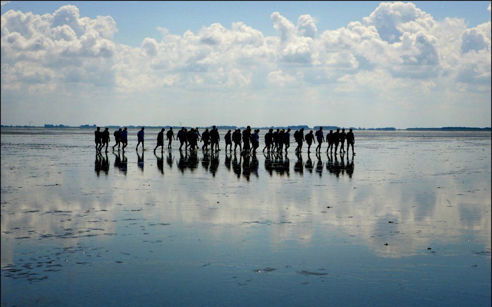 Wadlopen bij Schiermonnikoog. Foto ANP