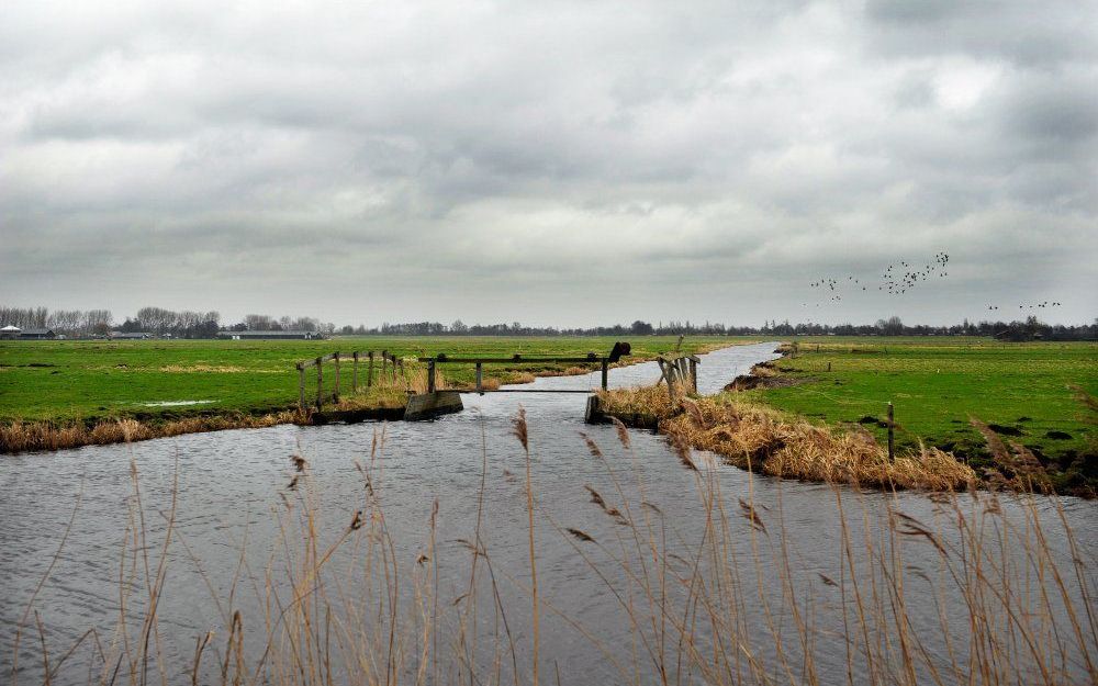 Polder. Foto ANP