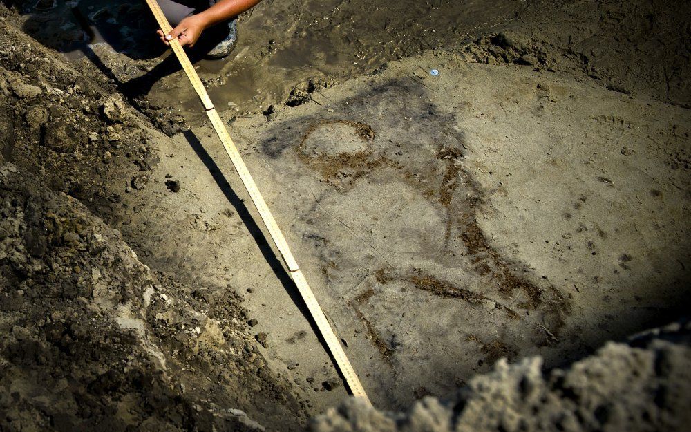 Foto: prehistorisch graf bij Alkmaar. Foto ANP