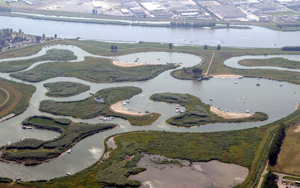 Paling uit de grote rivieren en de Biesbosch bevat teveel dioxine. Foto ANP