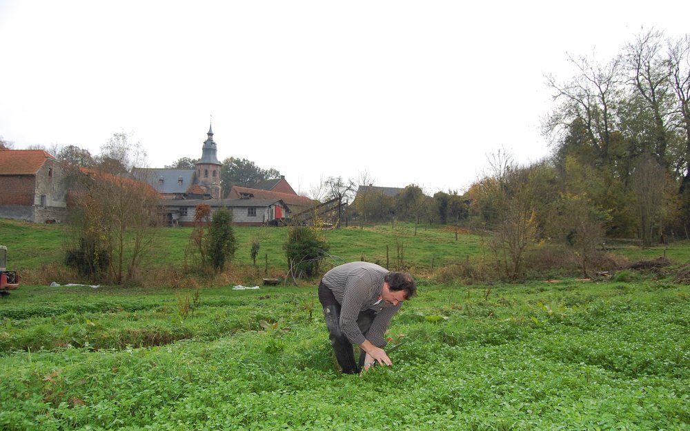 De waterkerskwekerij van de firma Cressana ligt in een idyllische omgeving.