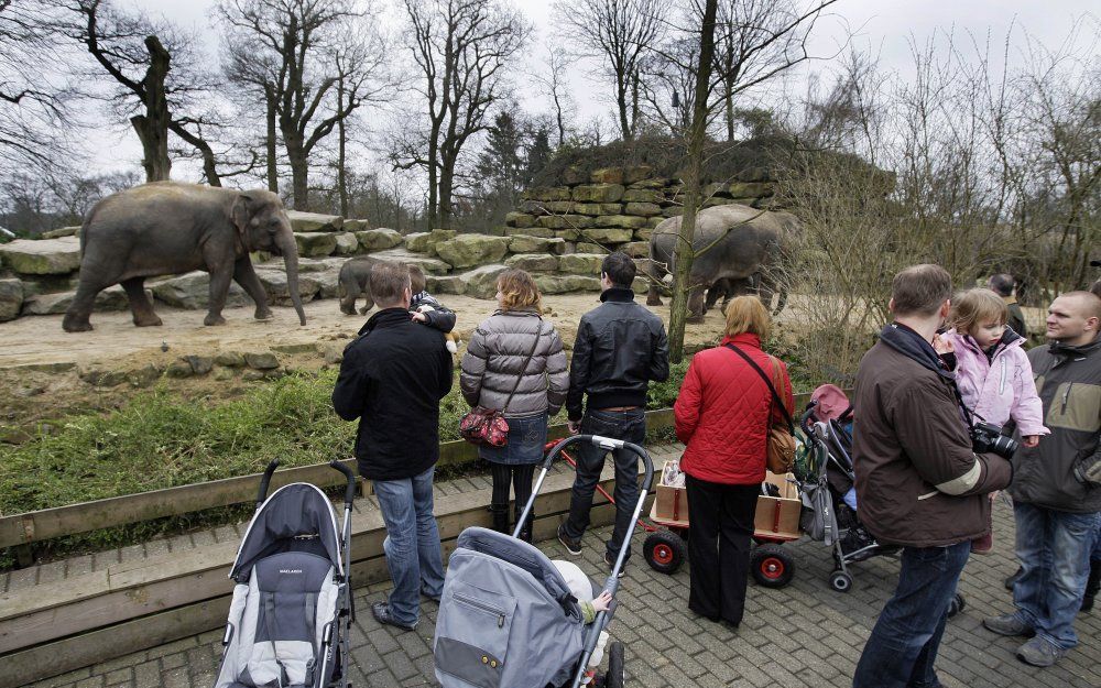 Dierenpark Emmen. Foto ANP