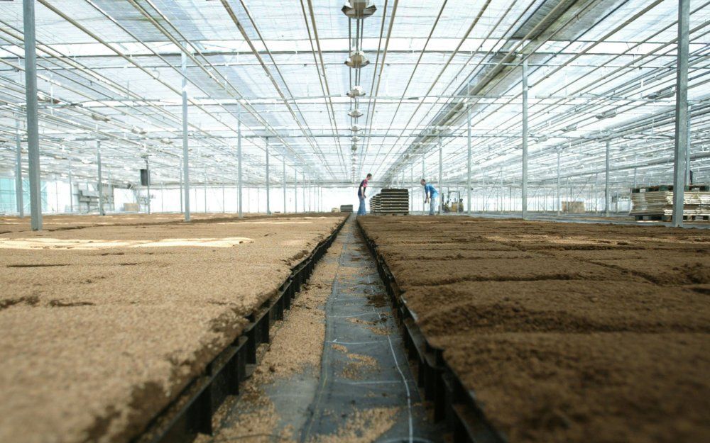 Provinciale Staten van Zuid-Holland stemt waarschijnlijk in met het voorstel van Gedeputeerde Staten (GS) om in de provincie enkele honderden hectaren extra uit te trekken voor glastuinbouw.  Foto ANP