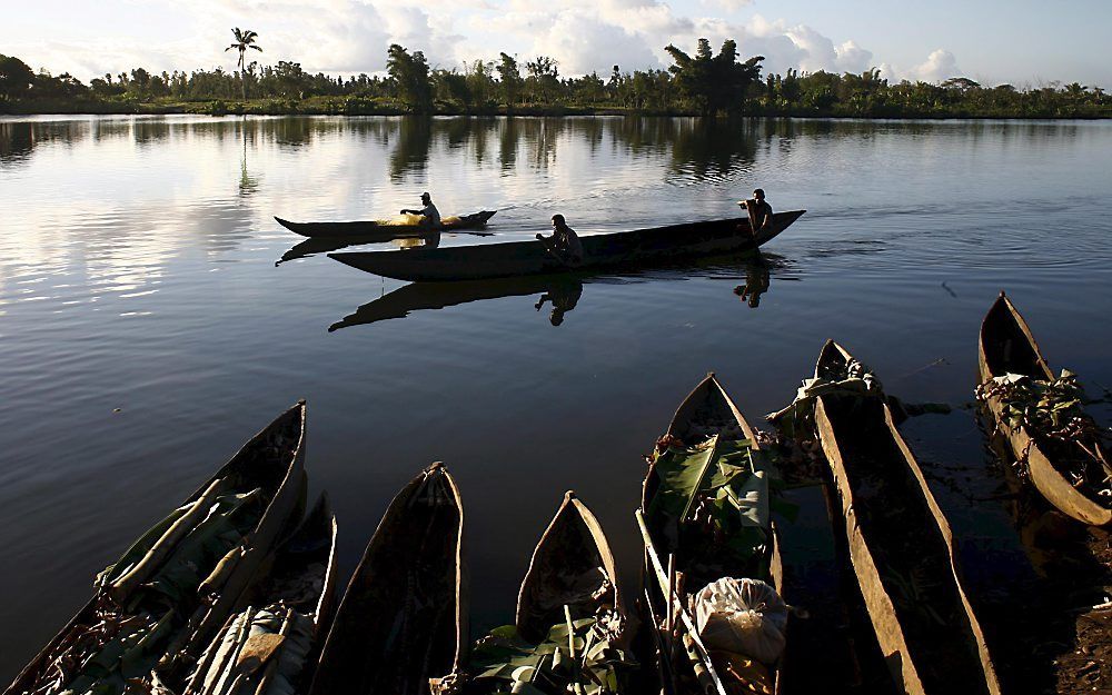 Regenwoud bij het dorp Nosy Varika, in het oosten van Madagaskar. Niet minder dan 98 procent van het illegaal gehakte tropisch hardhout van Madagaskar wordt geëxporteerd naar China. Foto EPA