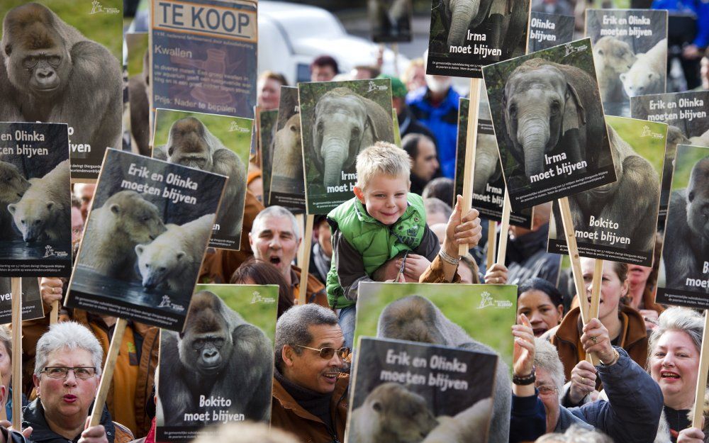 Ruim honderd mensen demonstreren woensdag bij het Rotterdamse stadhuis op de Coolsingel tegen de gemeentelijke bezuinigingsplannen voor Diergaarde Blijdorp. Een deel van de demonstranten had zich in dierenpakken gestoken. Foto ANP