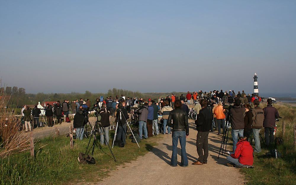 Bij oostenwind in mei gaan er tientallen trektellers naar telpost Breskens. Foto Gerard Troost