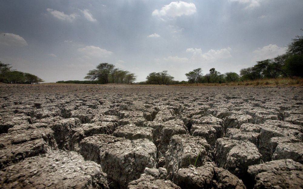 Droogte in India. Foto EPA