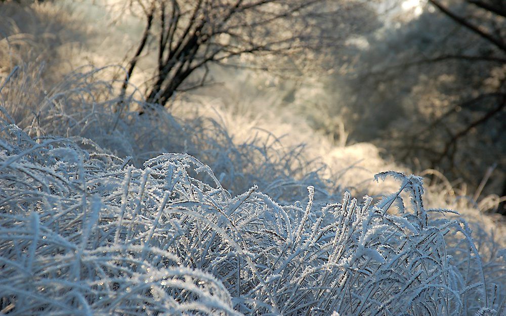 Winterlandschappen zijn vaak erg contrastrijk. Nabewerken brengt de dromerige sfeer weer terug in het beeld. Foto Wessel van Binsbergen