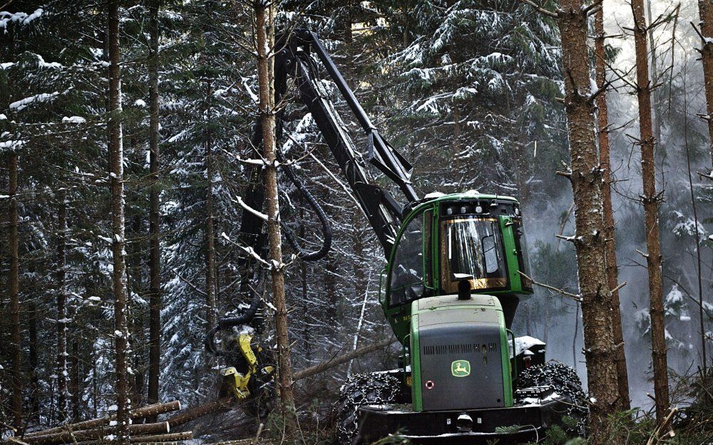 KARLSKOGA – Een houtkapvoertuig baant zich een weg door het bos bij de Zweedse stad Karlskoga. Aan het eind van de hefarm zit een grote knijper die de bomen vastpakt en afzaagt.	Foto RD