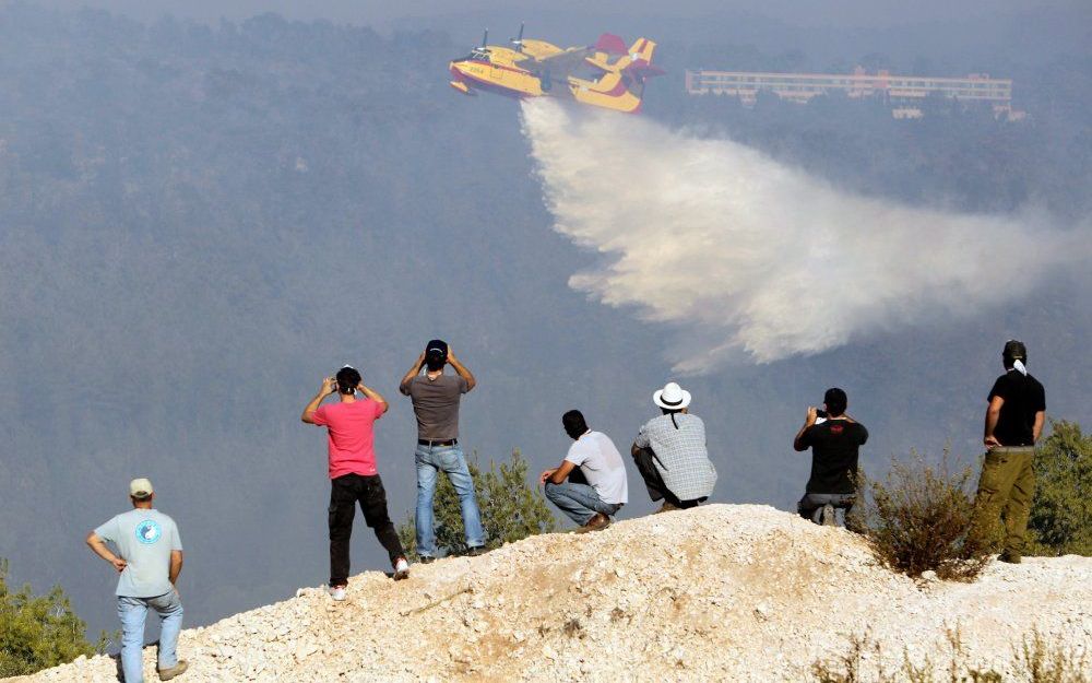 Palestijnse brandweermannen zijn in Israël gaan helpen met het bestrijden van de bosbrand op de Carmelheuvel. Foto EPA