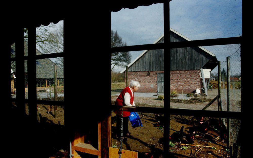 Zorgboerderij in Neede. Foto ANP