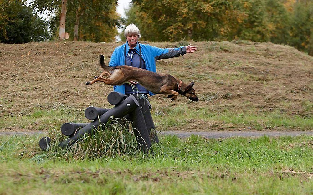 Hondengedragsdeskundige Nicky Gootjes: „Doe dingen samen met je hond. Hij vindt het leuk om met je te werken.” Beeld uit besproken boek