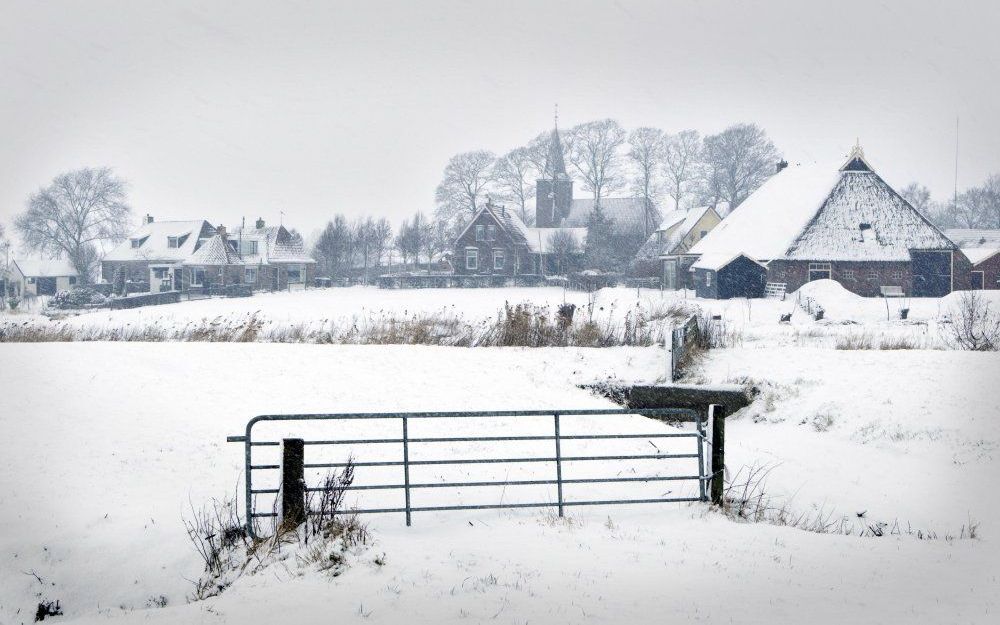 Het zijn vooral boeren die de prijs van agrarische grond op peil houden. Foto ANP