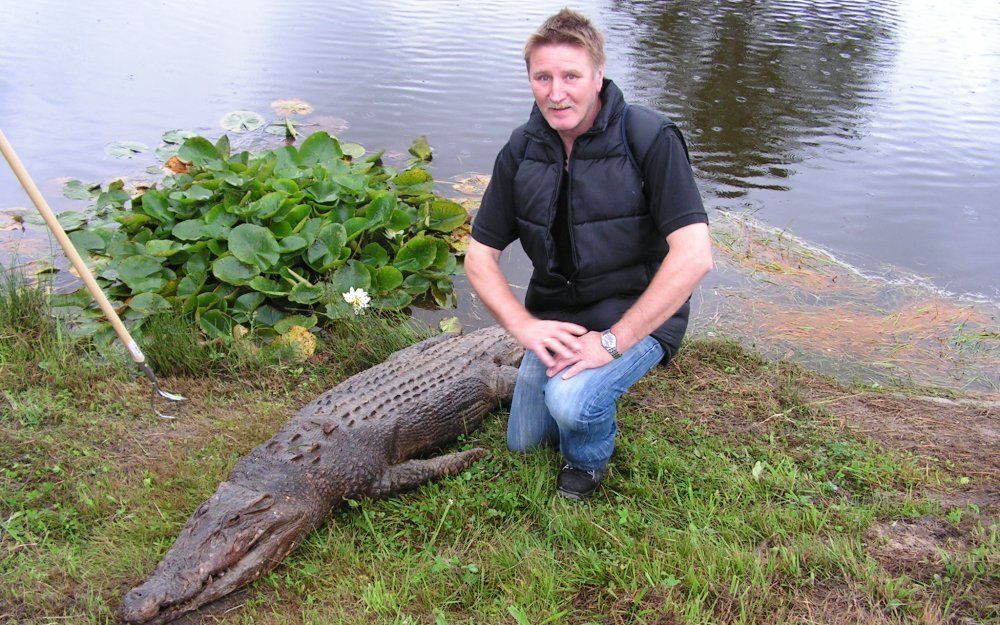 Grieto Westerhuis ontdekte eind augustus een heuse krokodil in een vijver in Oude Pekela. Half in het water, half op de kant. „Ik viel bijna van mijn fiets van schrik.” Foto Otto Kerbof