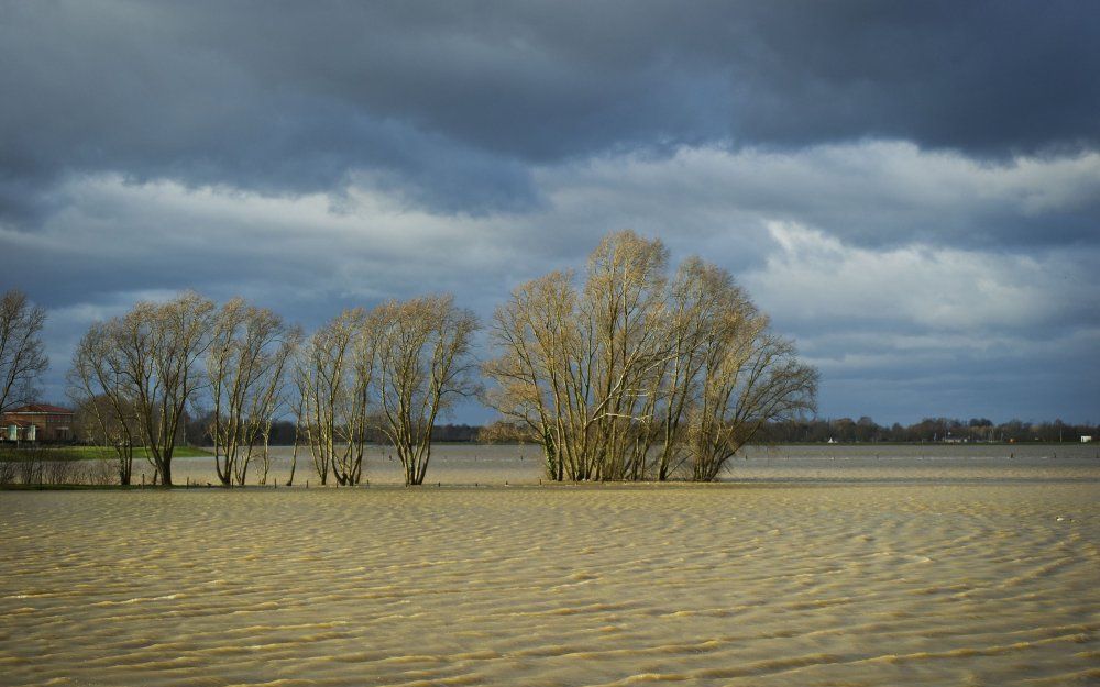 Hoge Maas zaterdag bij Ohe en Laak. Foto ANP