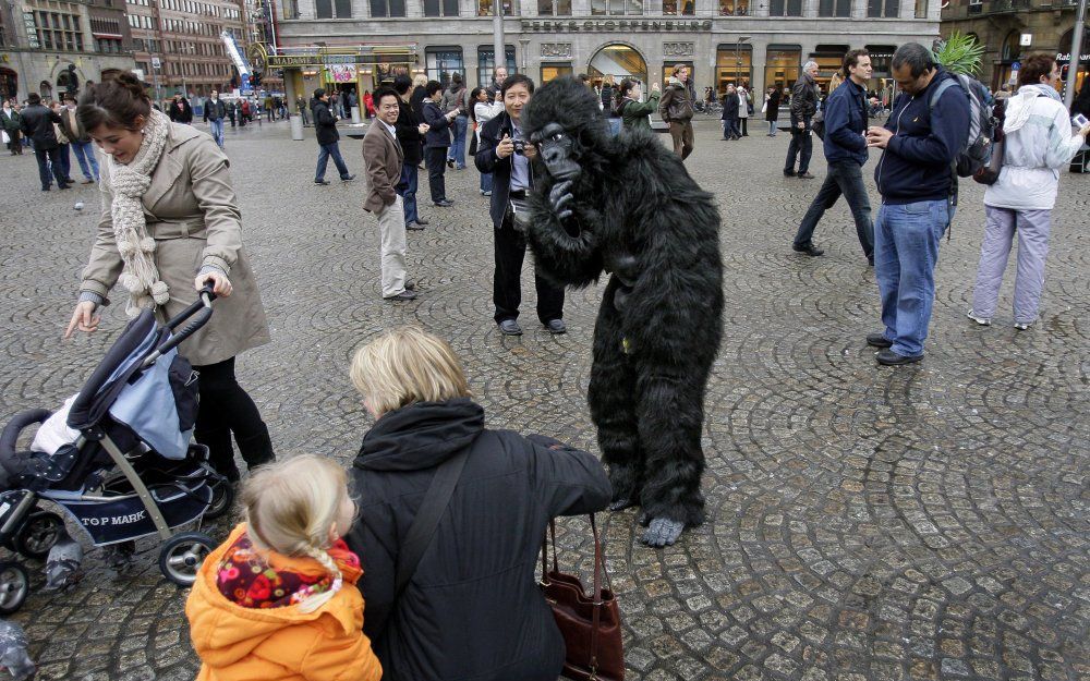 Dinsdag houden Egyptische organisaties in Nederland een demonstratie op de Dam.  Foto ANP