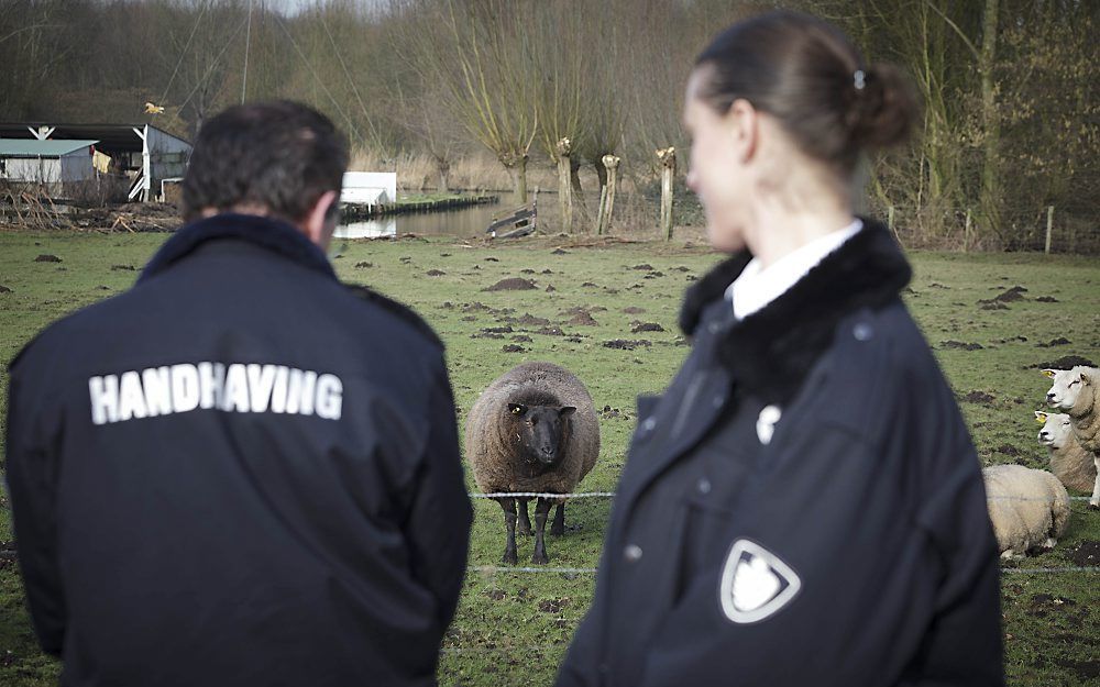 Gert-Jan van der Wal en Patricia Zohlandt zijn in Capelle aan den IJssel als dierenagent aan de slag gegaan. „Wij proberen mensen via een goed gesprek tot inkeer te brengen.” 	 Foto ANP