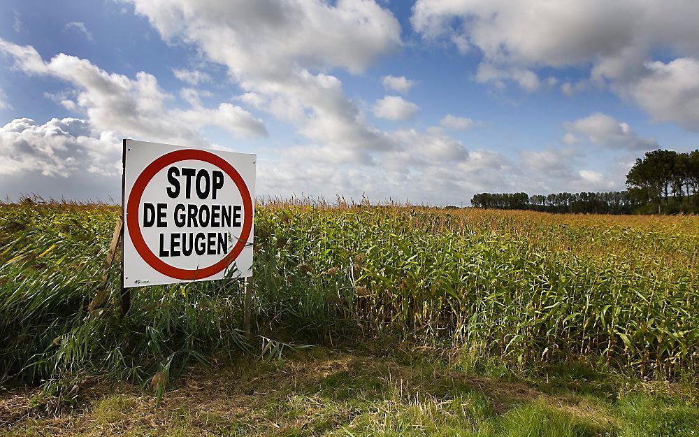 Hedwigepolder. Foto ANP