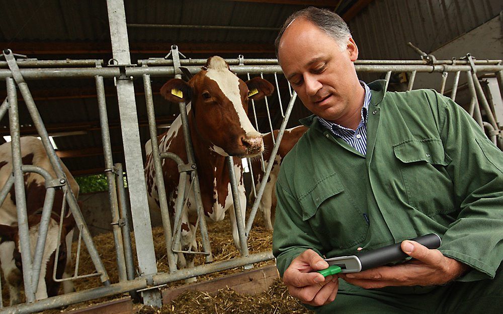 Het lab-on-a-chip heeft genoeg aan een druppel bloed. Het uitleesapparaat geeft een dierenarts binnen enkele minuten de calcium- en magnesiumwaarden in het bloed van koeien om daarmee melkziekte op te sporen. Foto Blue4Green