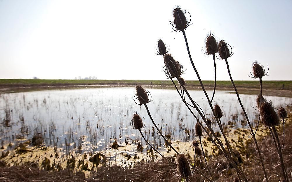 Vogelmeerpolder. Foto ANP