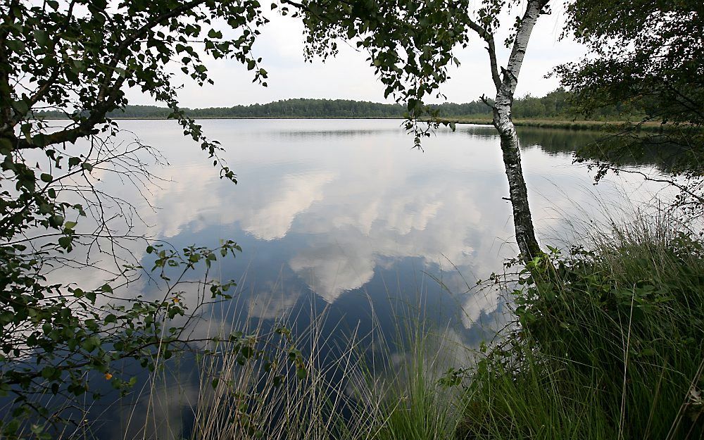 Hoogveengebied De Groote Peel. Foto RD, Anton Dommerholt