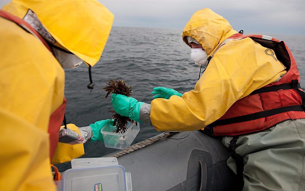 Er worden monsters genomen voor de kust bij centrale Fukushima. Foto EPA