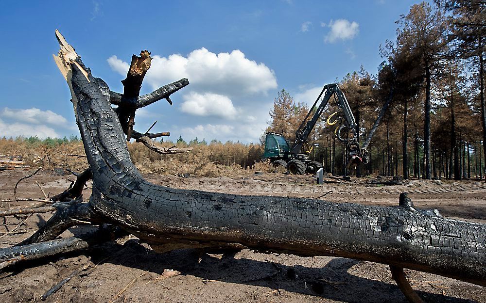 Brand op de Strabrechtse Heide in 2010. Foto ANP