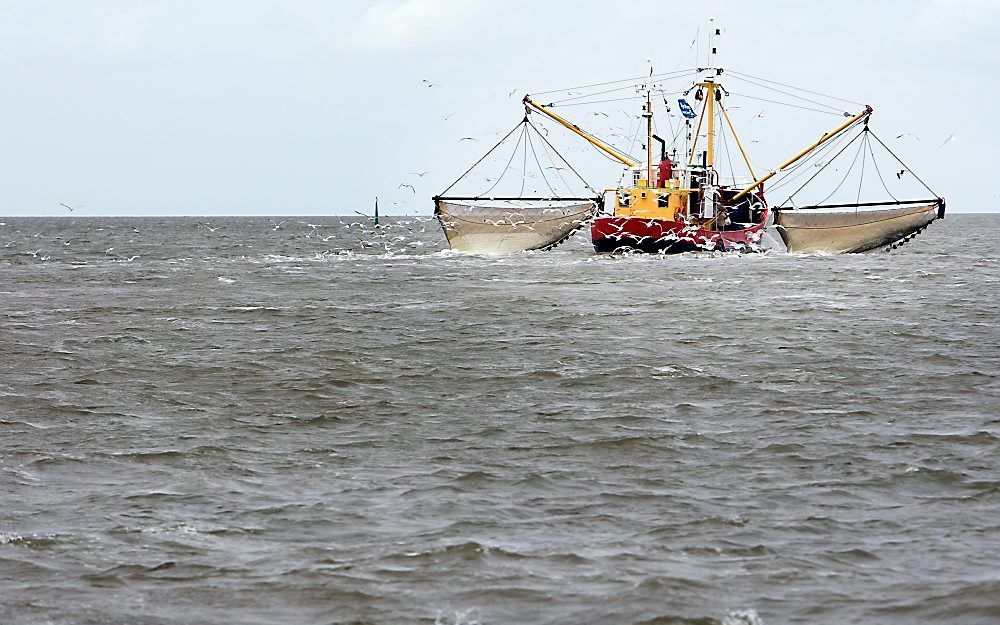 De binnenhaven van het Franse Boulogne-sur-Mer is weer open voor Nederlandse vissers, zo is woensdag bekend geworden. Foto ANP