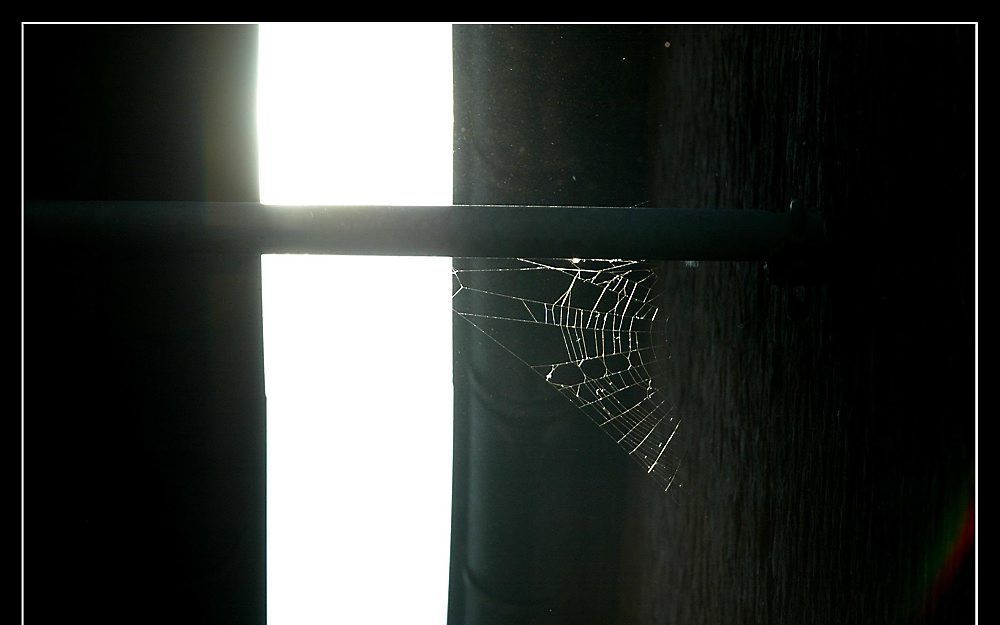 „Ik ben bepaald niet de enige die zwaar twijfelt”, schreef iemand, „maar het gaat er nooit over.” Foto RD, Henk Visscher