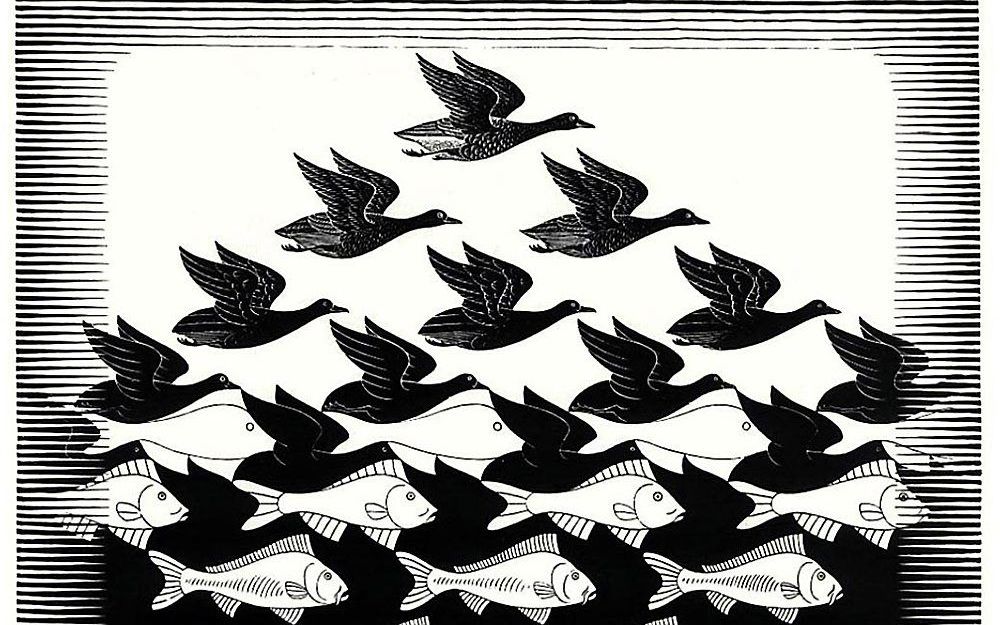 Beeld M. C. Escher