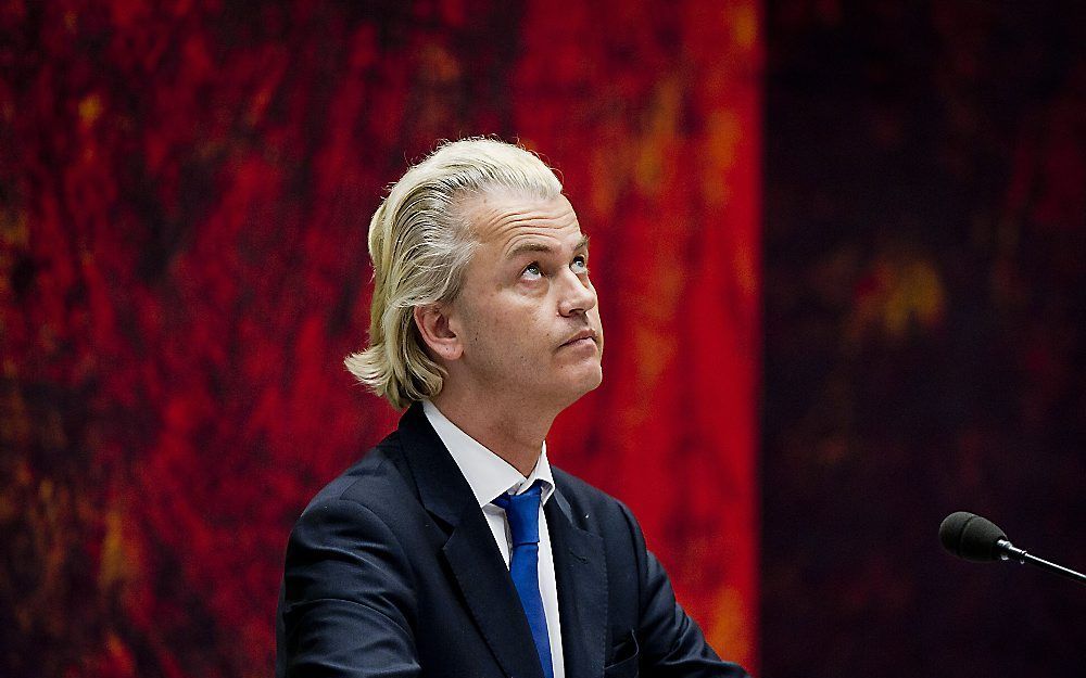 Wilders. beeld ANP