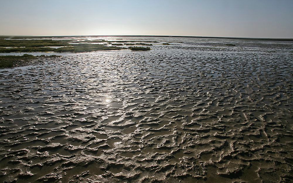 Waddenzee. Foto ANP