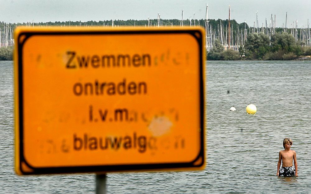 De kwaliteit van het open zwemwater in Nederland is vorig jaar gedaald ten opzichte van een jaar eerder. Foto ANP