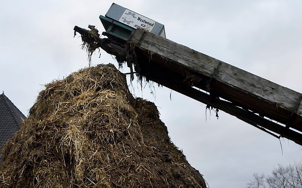 Het gaat weer beter met de boeren in ons land, maar het mestprobleem hangt als een donkere wolk boven hun toekomst. Foto ANP