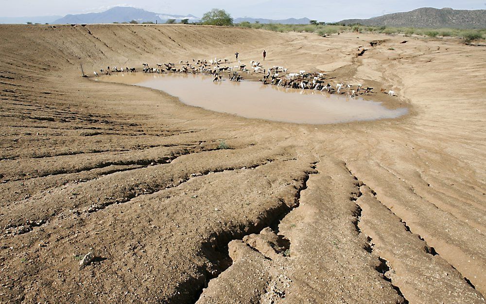 Ruim 10 miljoen mensen in de Hoorn van Afrika zijn getroffen door de grootste droogte in 60 jaar. Foto EPA