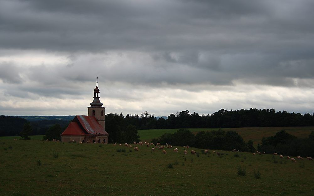 Zicht op de vervallen kerk van Javornik. Nu er in het Tsjechische dorp nieuwe huizen worden gebouwd en oude worden opgelapt, valt het verwaarloosde kerk­gebouw extra uit de toon. Foto RD