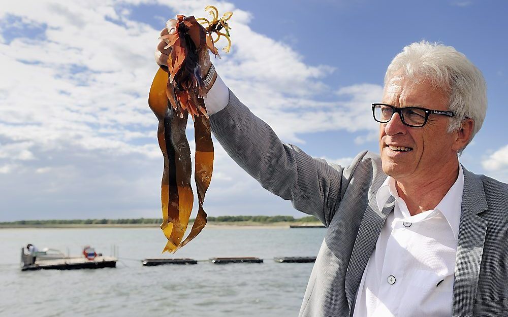 BURGH-HAAMSTEDE – De Zeeuwse gedeputeerde De Reu toonde donderdag zeewier bij de opening van zeeboerderij De Wierderij in Burgh-Haamstede. Foto ANP