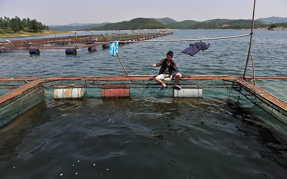 Yangtze. Foto EPA