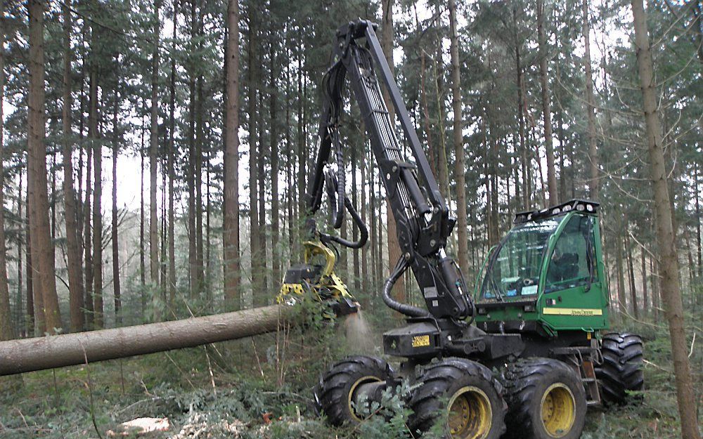 Een hoogoogster (harverster) bezig met oogsten van dennenstammen. Foto RD