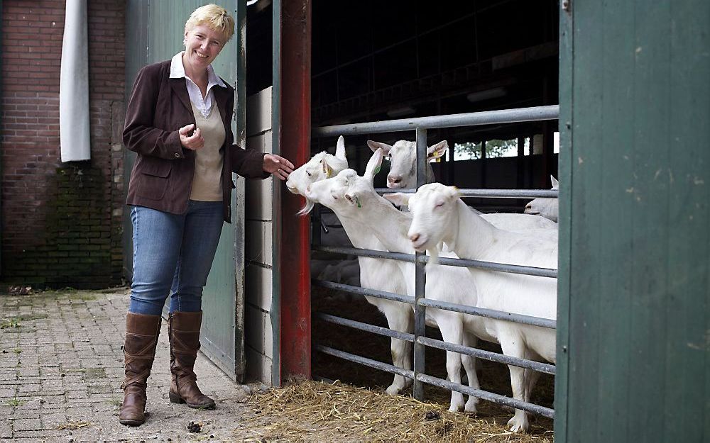 Melkgeitenhouder en voorzitter van de vakgroep LTO Melkgeitenhouderij Jeannette van de Ven beleeft een spannend najaar. Een aantal geitenhouders staat op de rand van een faillissement. Foto Sjaak Verboom