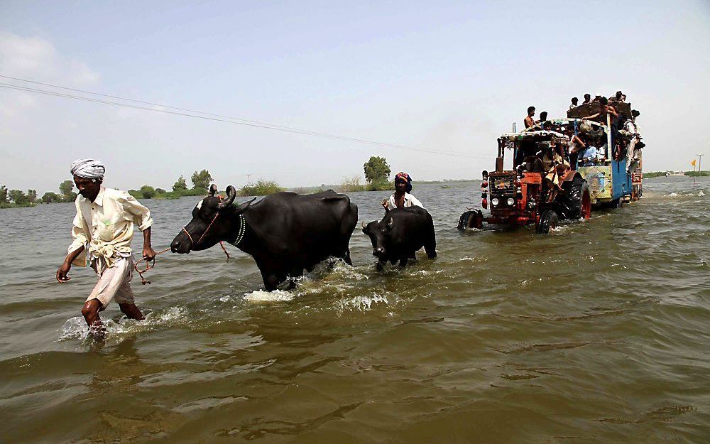 Het dodental als gevolg van de overstroming in Pakistan staat op 342.  Foto EPA