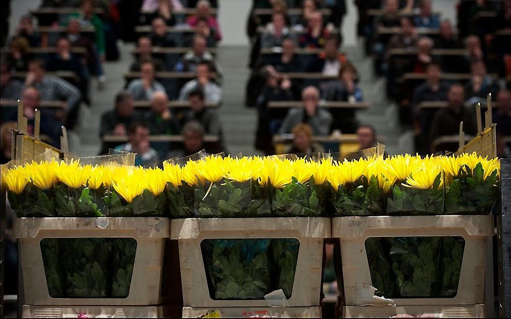 Afgelopen weekeinde werd bekend dat de Roemeense autoriteit de import van Nederlandse bloemen tegenhoudt.  Foto EPA