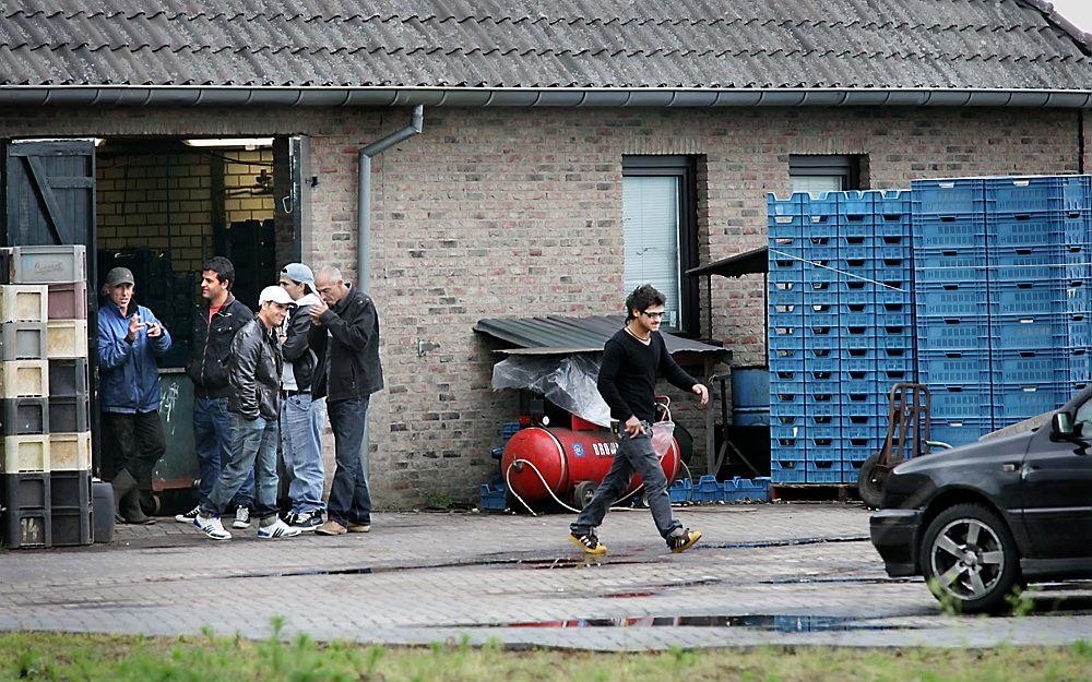 De aspergestekerij aan de Nederweertseweg in het Brabantse Someren. Foto ANP