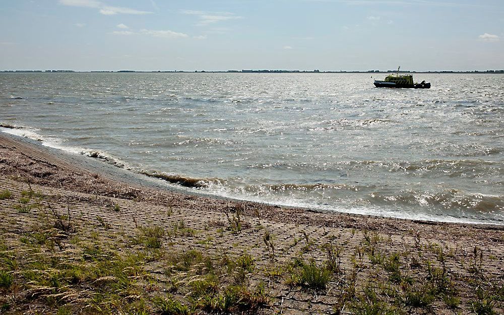 Dijk langs de Westerschelde.  Foto ANP