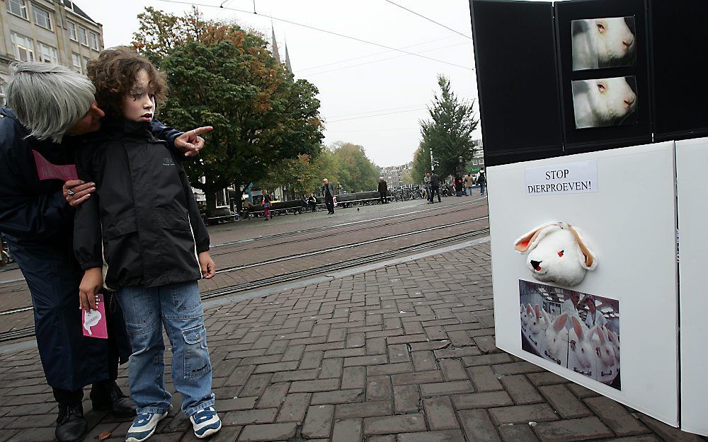 In Nederland werden vorig jaar 575.278 dieren gebruikt als proefdier, ruim 17.000 minder dan in 2009. Foto EPA