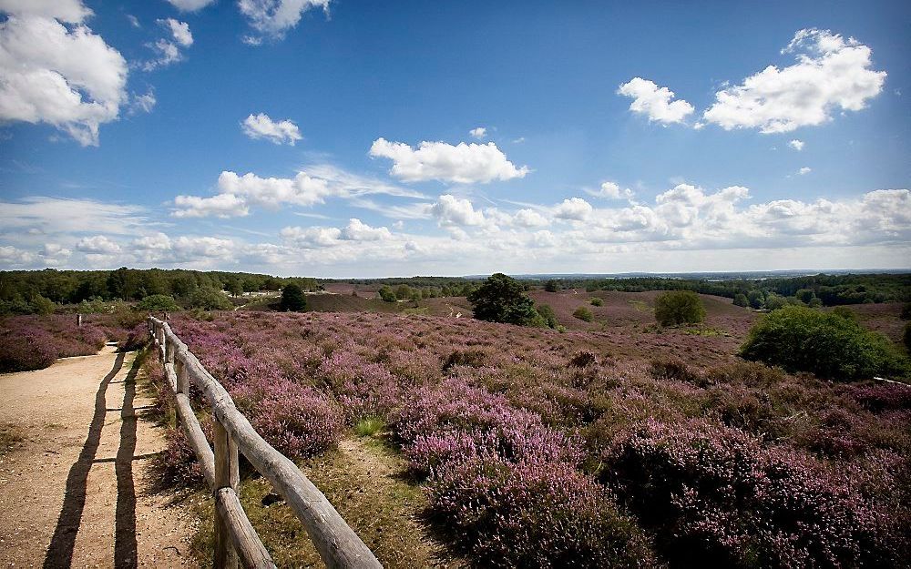 Foto RD, Henk Visscher